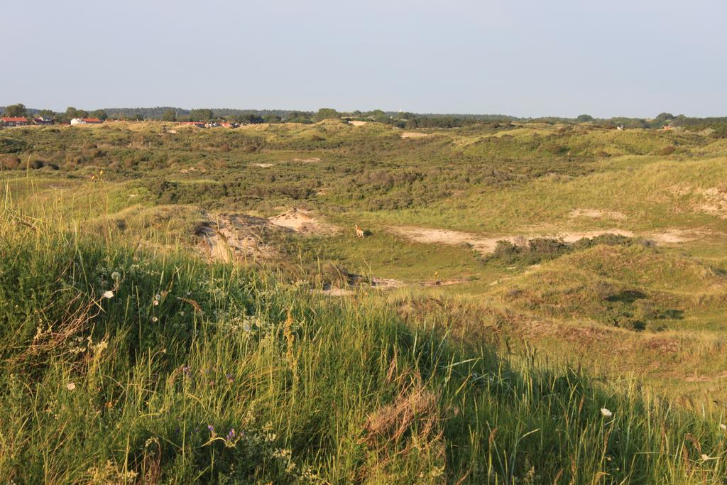 Posthuisje Zandvoort Habitación foto